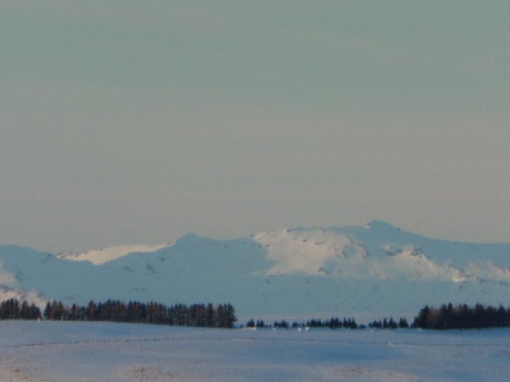 Plomb du Cantal