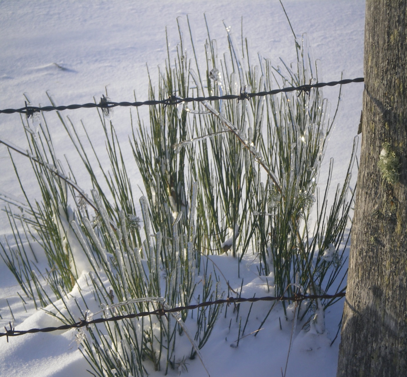 paysage neige